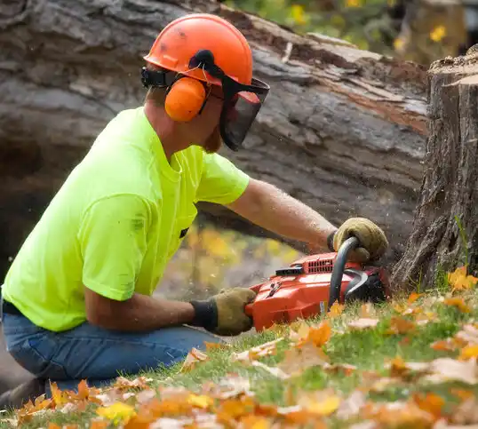 tree services Big Lake